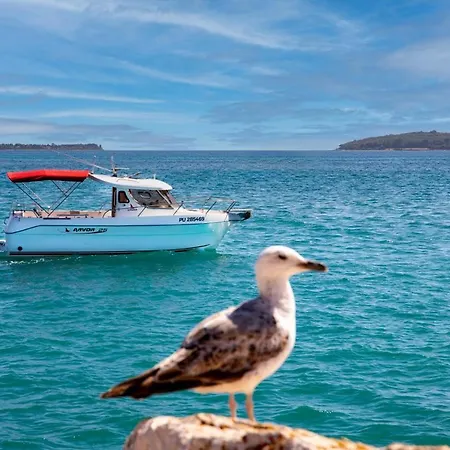 بوتيل Boat Barbara *